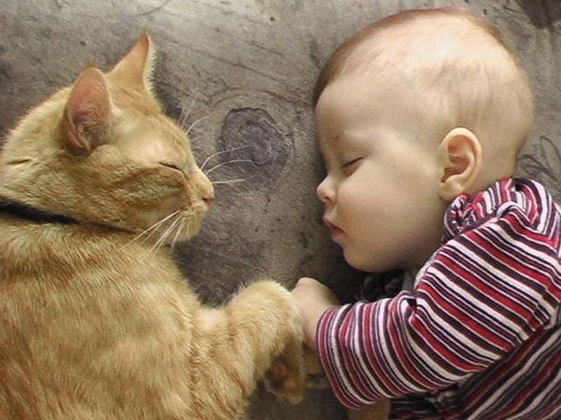 Baby and Cat Sleeping