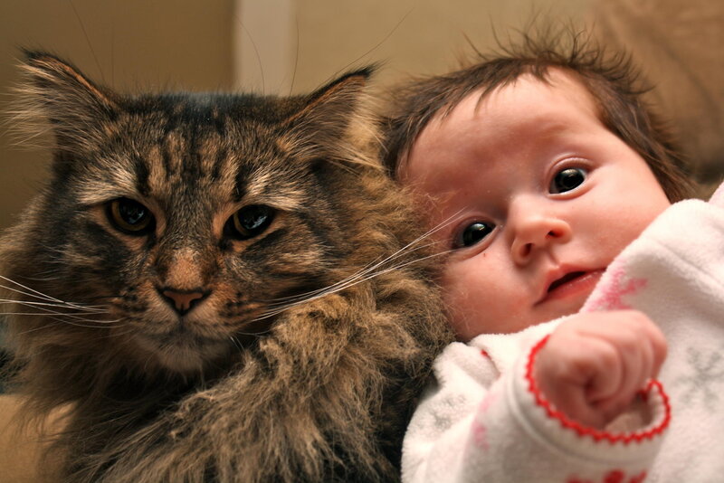 Baby and Cat Together