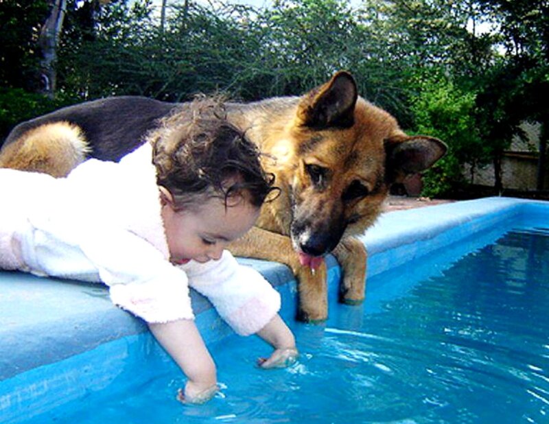 Baby and Dog at Pool — Blue