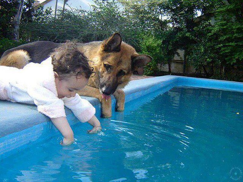 Baby and Dog at Pool