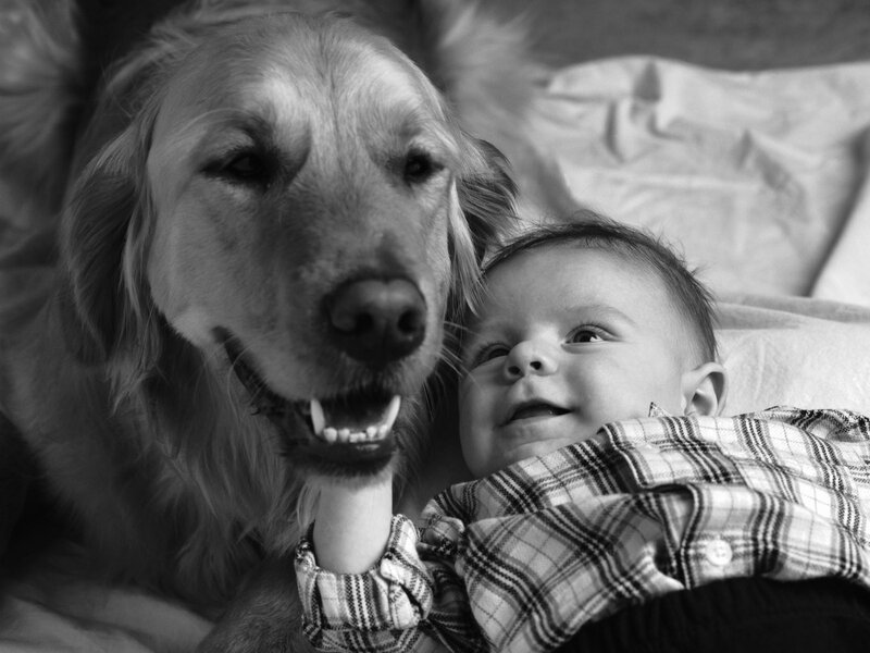 Baby and dog cuddling