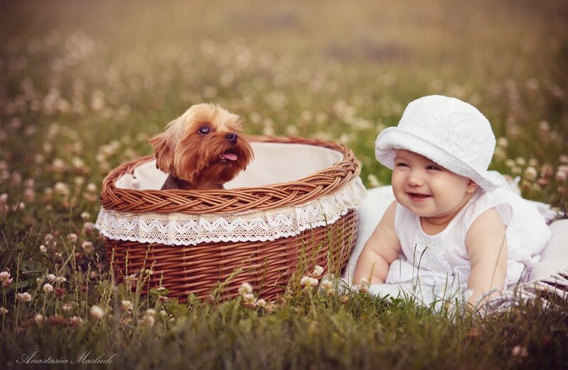 Baby and Dog in Basket — White