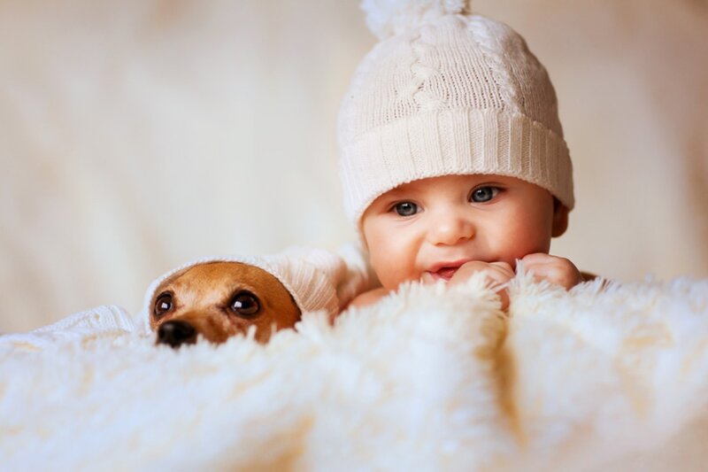 Baby and Dog in Blanket