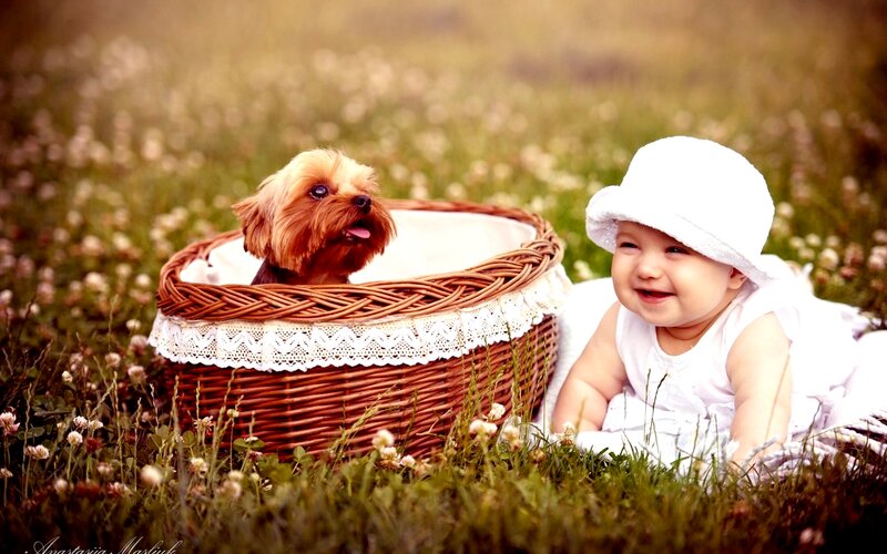 Baby and Dog in Field
