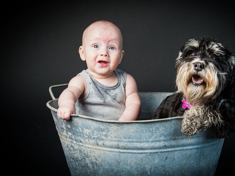 Baby and Dog in Tub — Gray