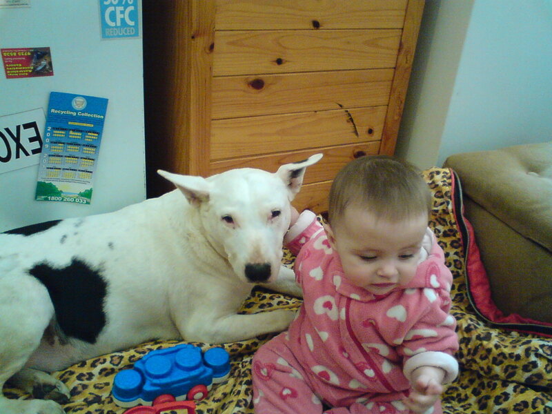 Baby and Dog on Blanket