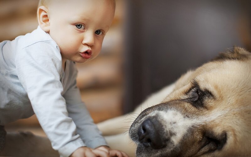 Baby and Dog on Floor