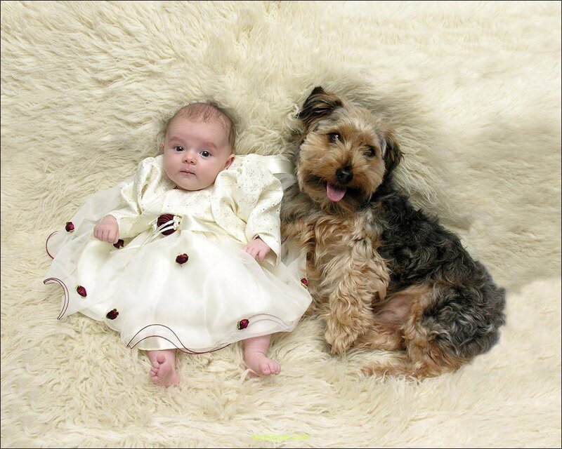 Baby and Dog on Rug — White