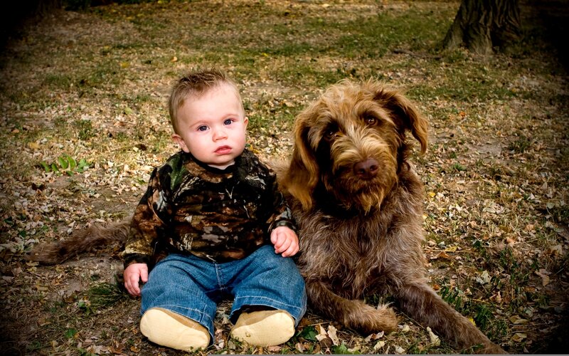 Baby and Dog Sitting