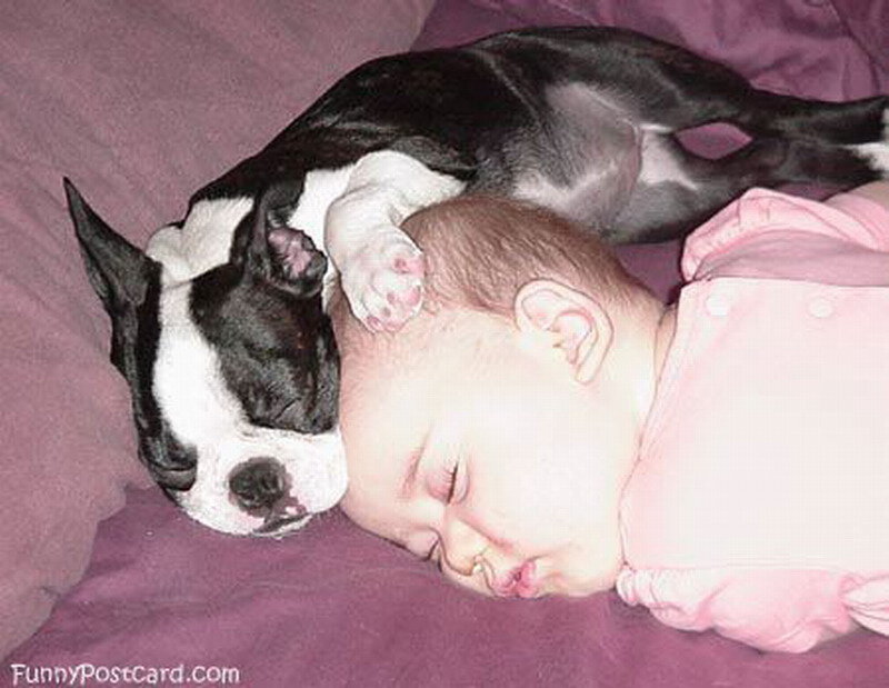 Baby and Dog Sleeping