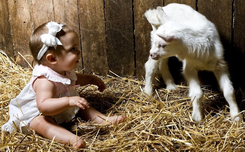 Baby and goat in hay