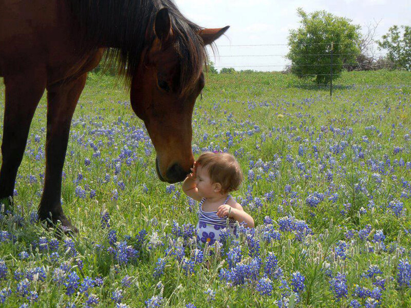 Baby and Horse in Field