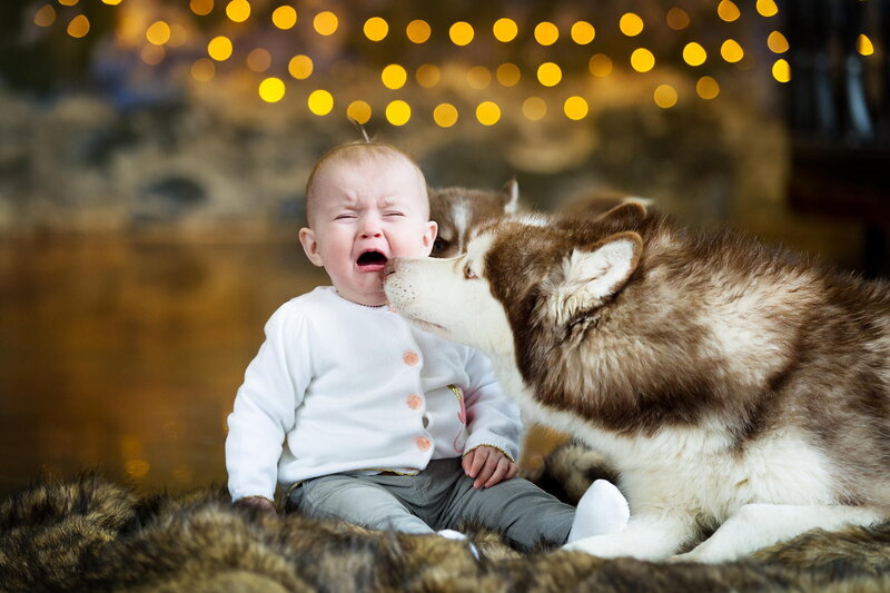 Baby and Husky Dog