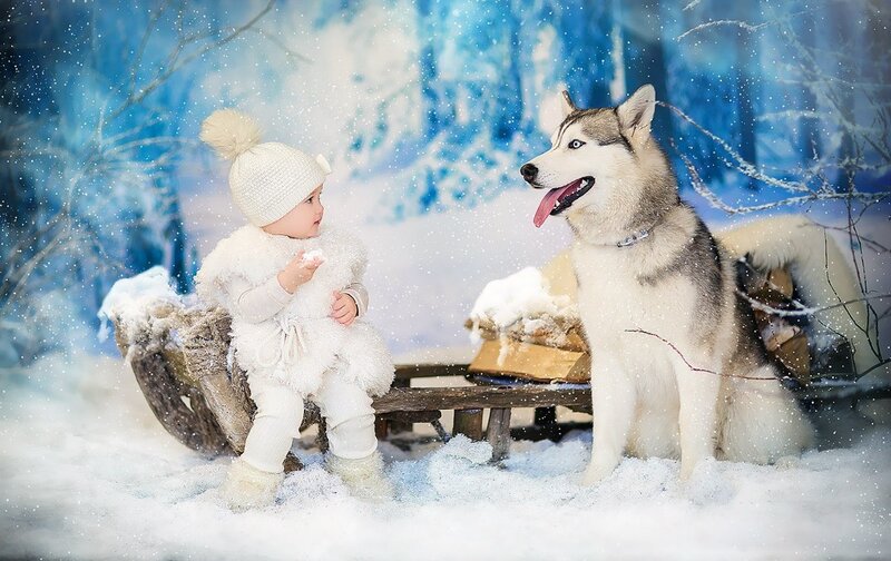 Baby and Husky Dog — White