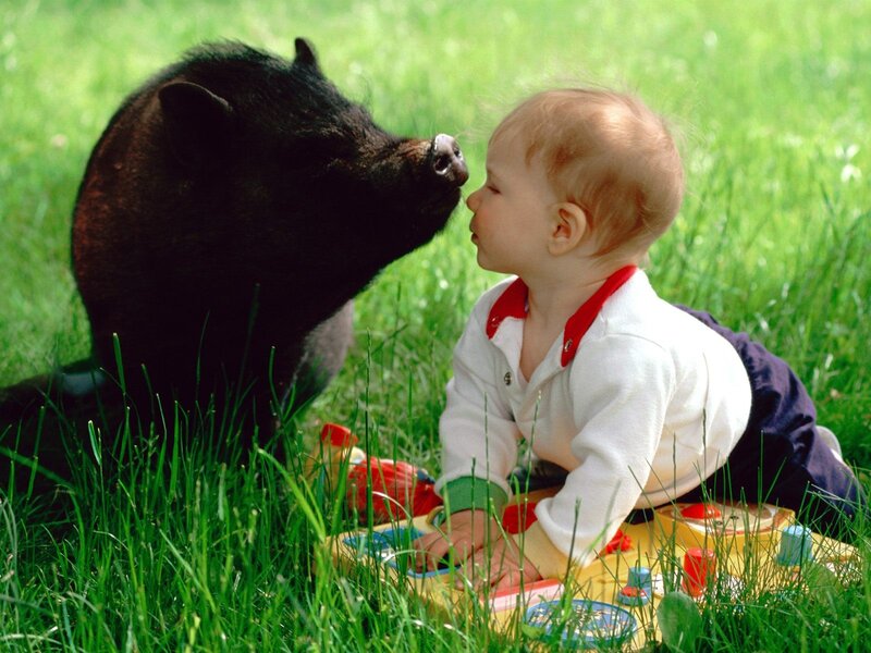 Baby and piglet playing in grass