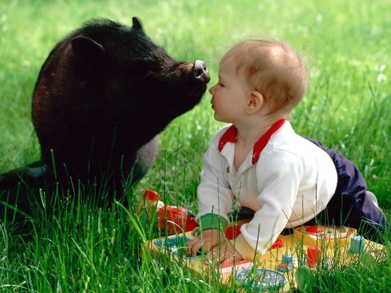 Baby and piglet playing together