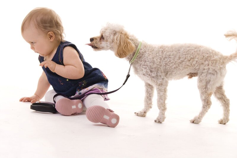 Baby and Poodle Dog