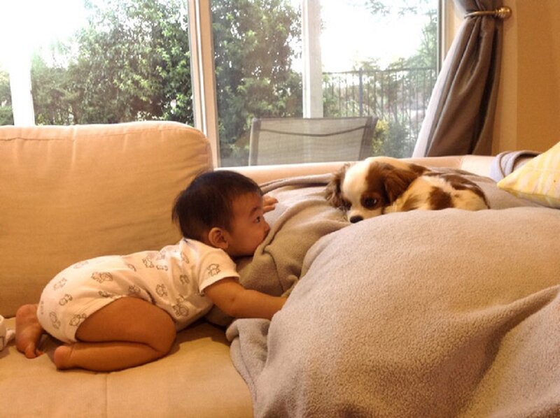Baby and Puppy on Couch — Beige