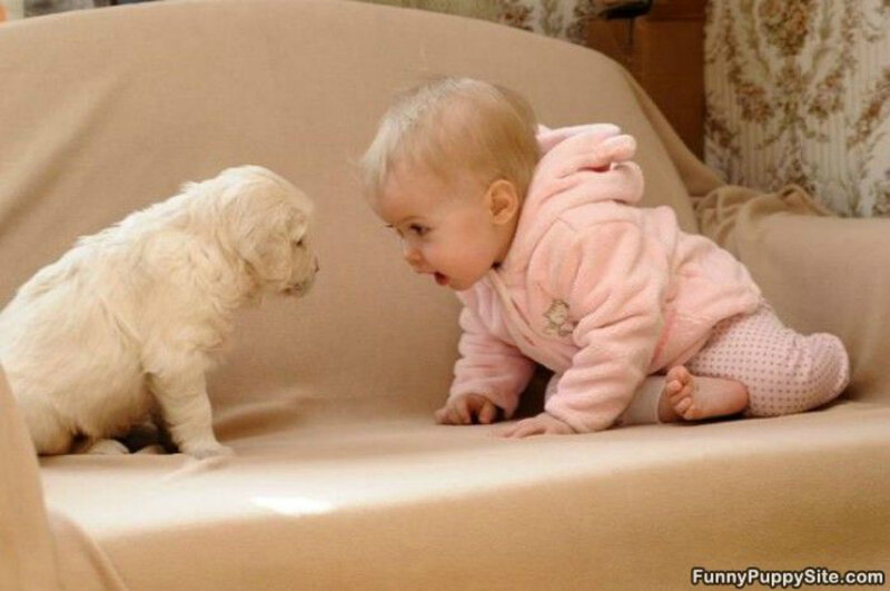 Baby and Puppy on Couch