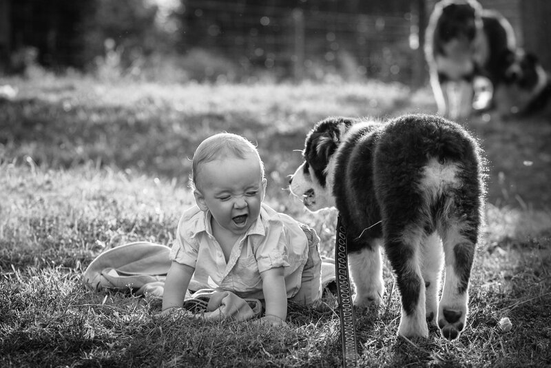 Baby and Puppy on Grass