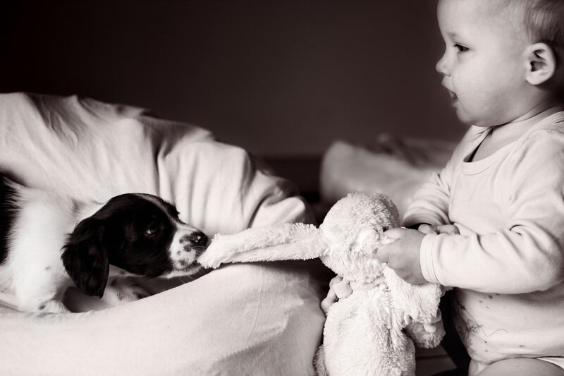Baby and Puppy Playing