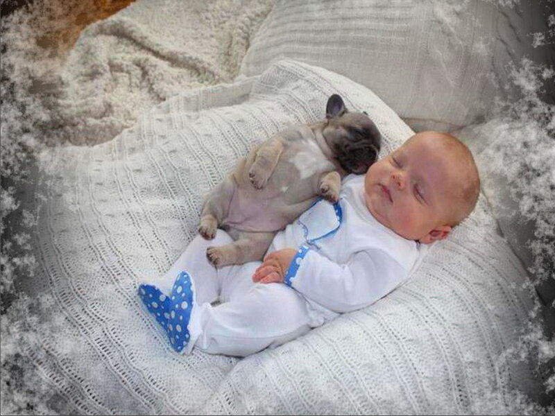 Baby and Puppy Sleeping