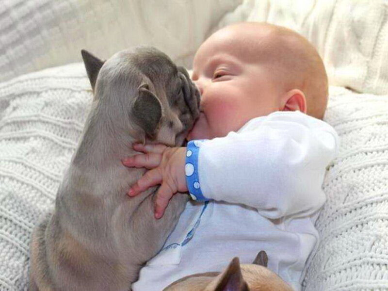 Baby and Puppy — White, Calm