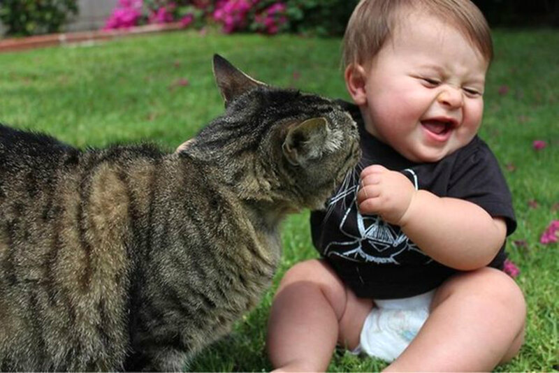 Baby and Tabby Cat