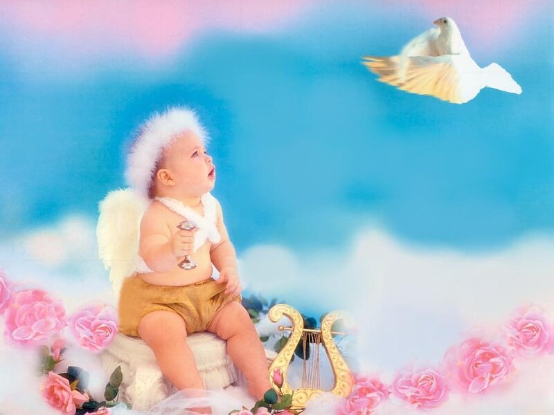 Baby angel with dove and harp