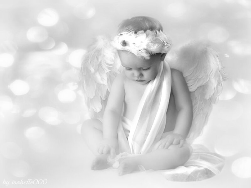 Baby Angel with Wings — White, Serene