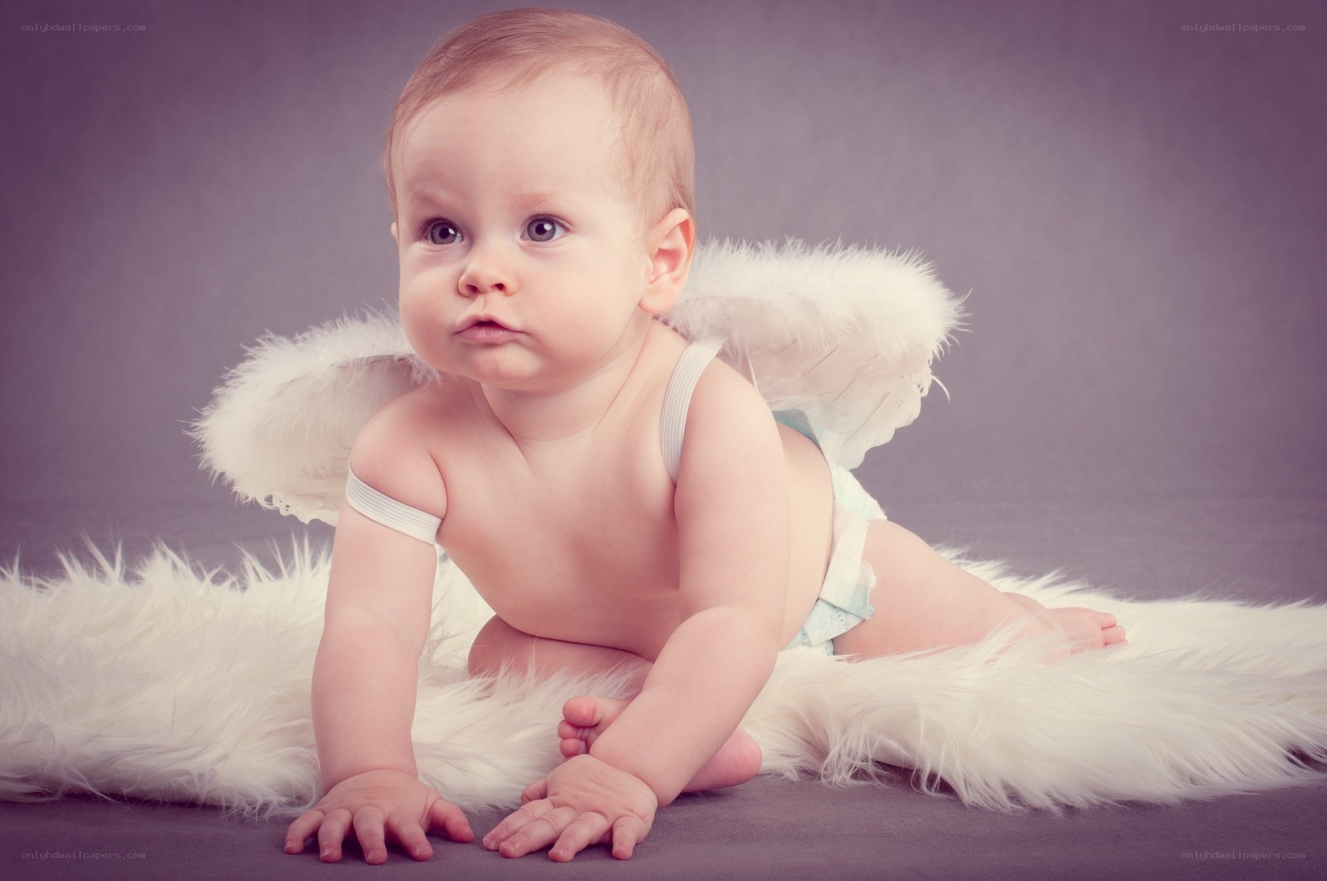 baby angel with wings