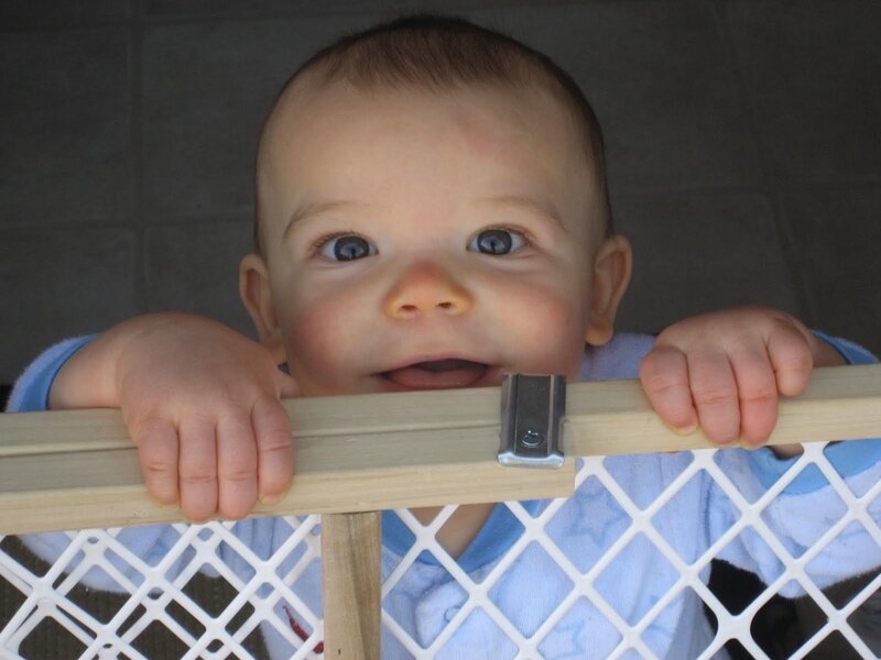 baby behind a gate