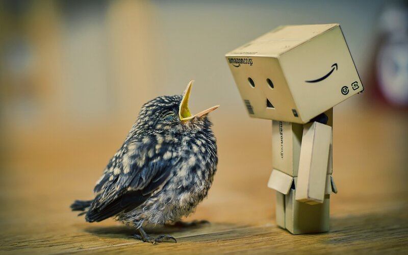 Baby Bird and Cardboard Figure