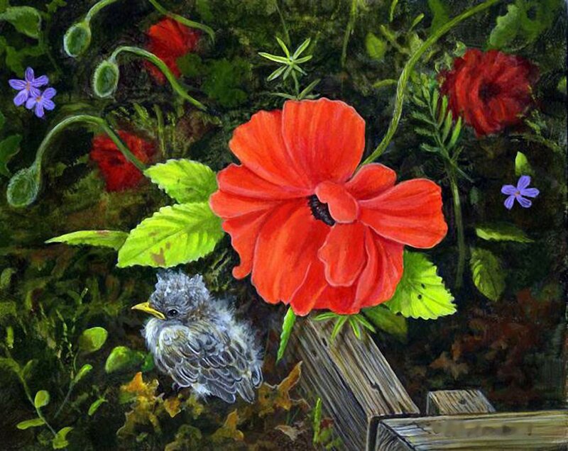 Baby Bird Near Poppy