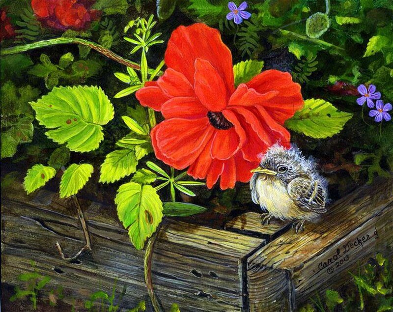 Baby Bird on Wood