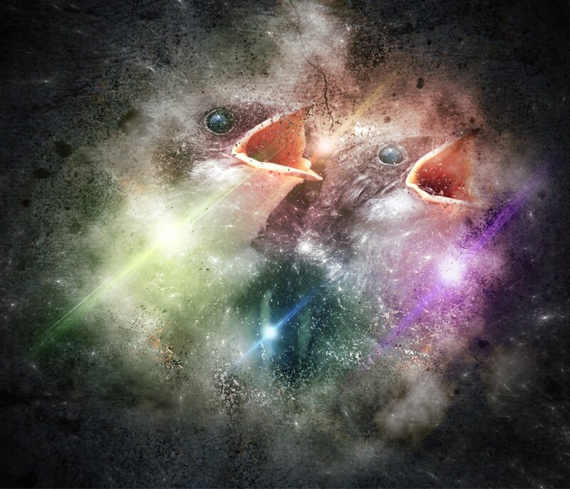 baby birds in cosmic nebula