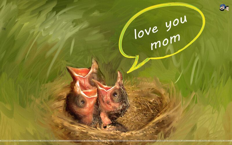 Baby Birds in Nest — Green, Tender