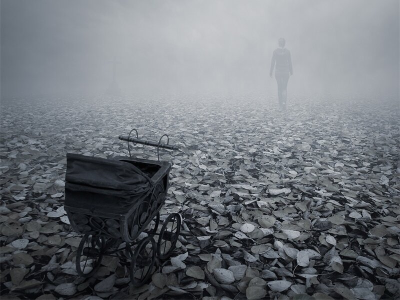 Baby Carriage in Fog