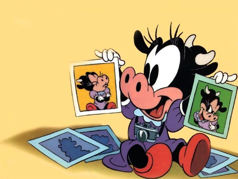 Baby cow with photos