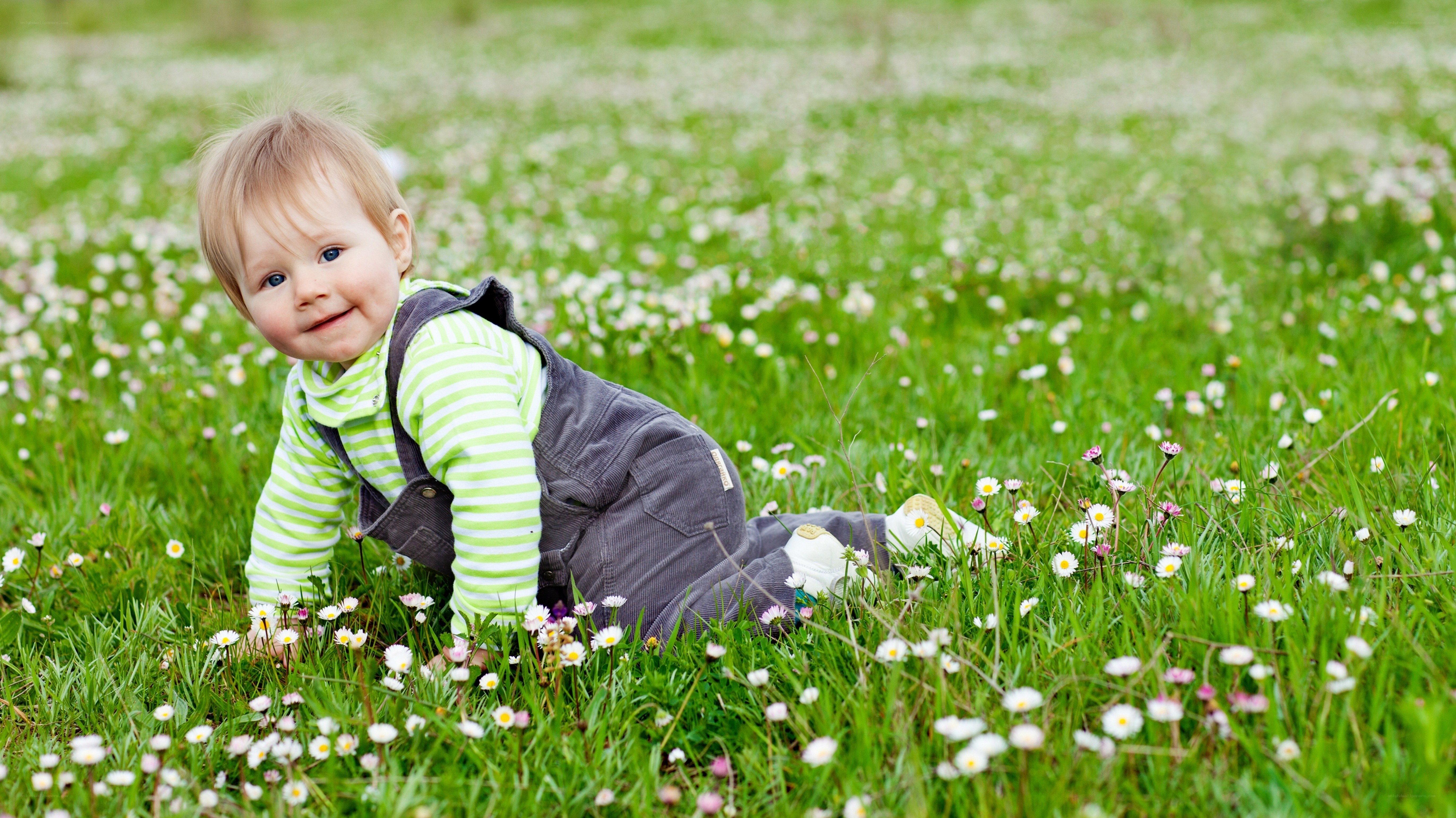 Baby crawling in a flower field