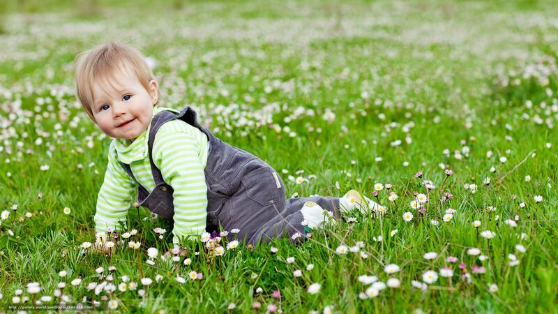 Baby crawling in a meadow