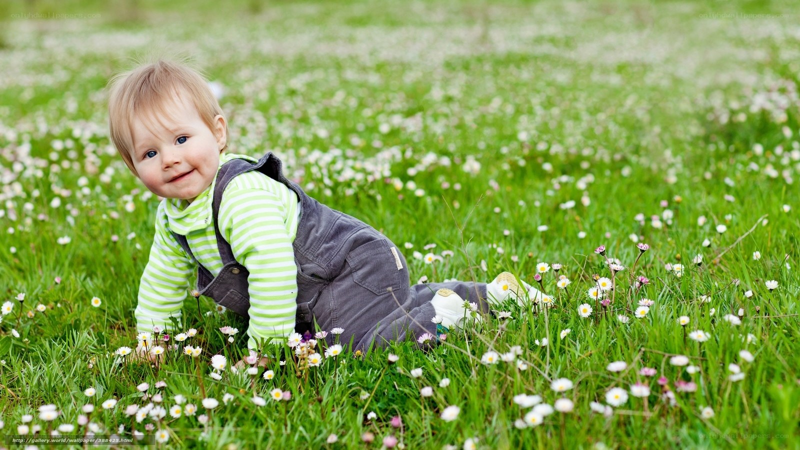 Baby crawling in a meadow