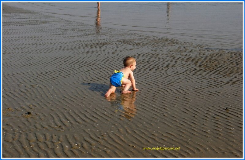 Baby Crawling on Beach — Brown