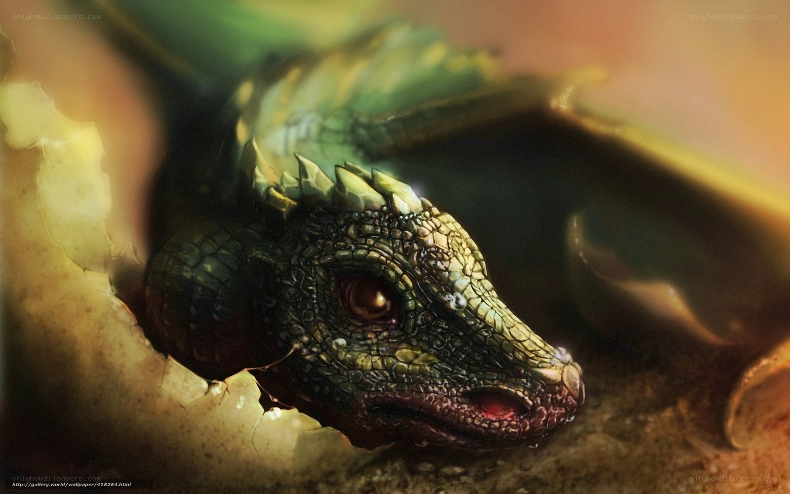 Baby dragon hatching