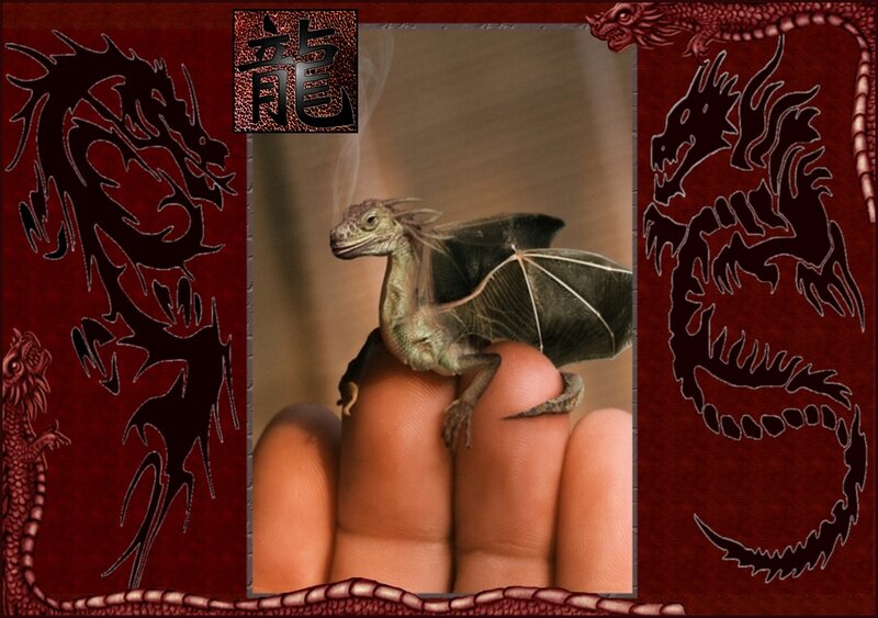 Baby dragon on a hand