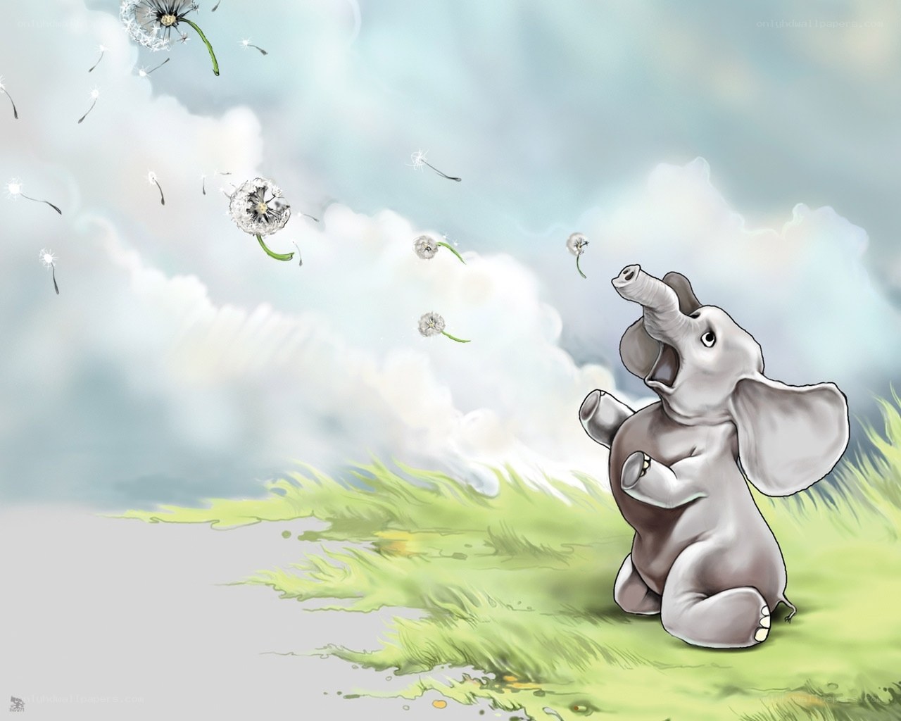 Baby elephant blowing dandelions