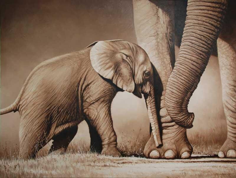 Baby Elephant with Adult — Brown