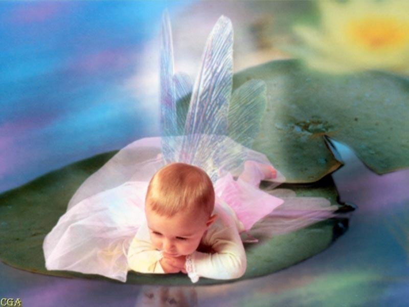 Baby Fairy on Lily Pad