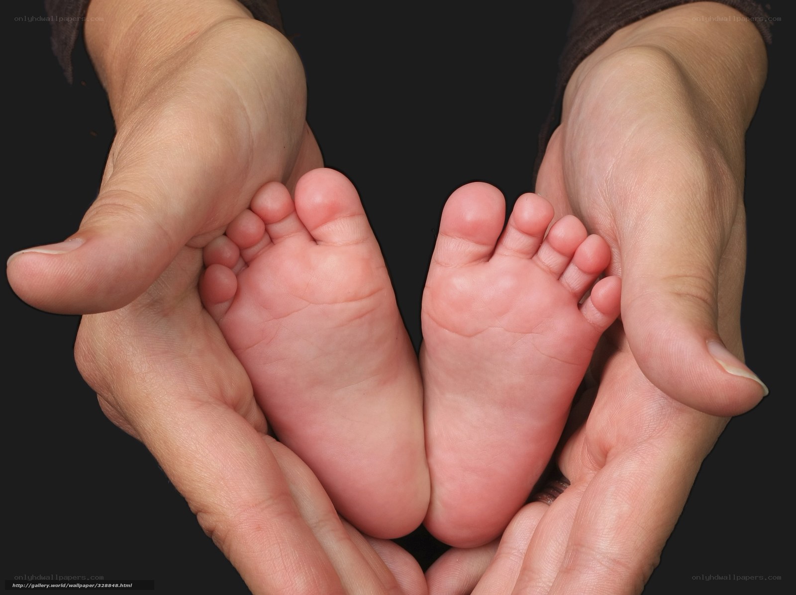 Baby feet in adult hands