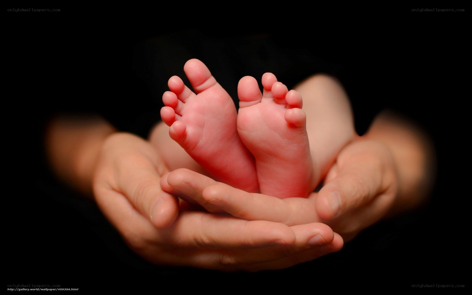 Baby feet in hands